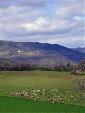 Photo Octon ND de Roubignac 005.jpg